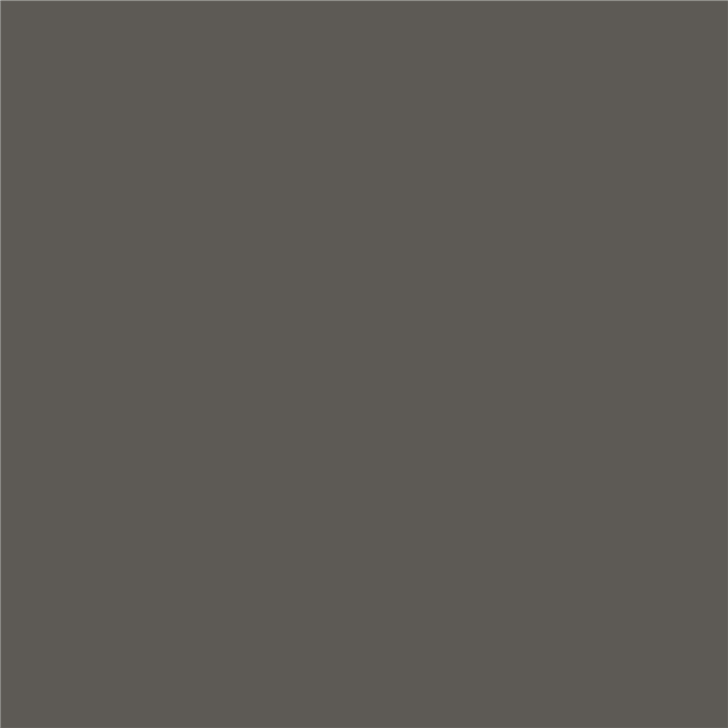L1058 流星灰 Meteor Grey