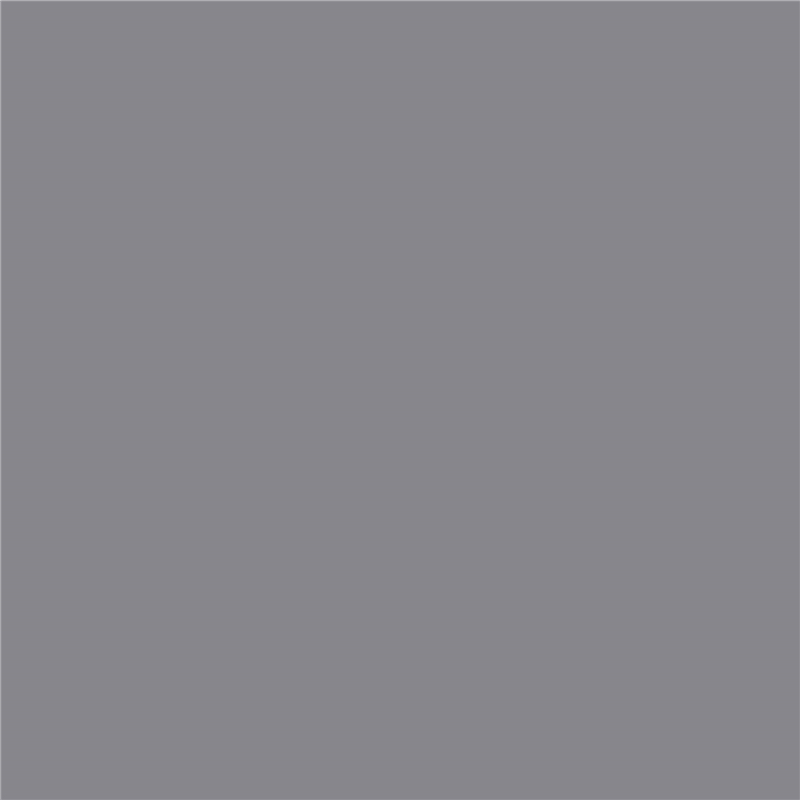 L1158 莱茵灰 Rhine Grey