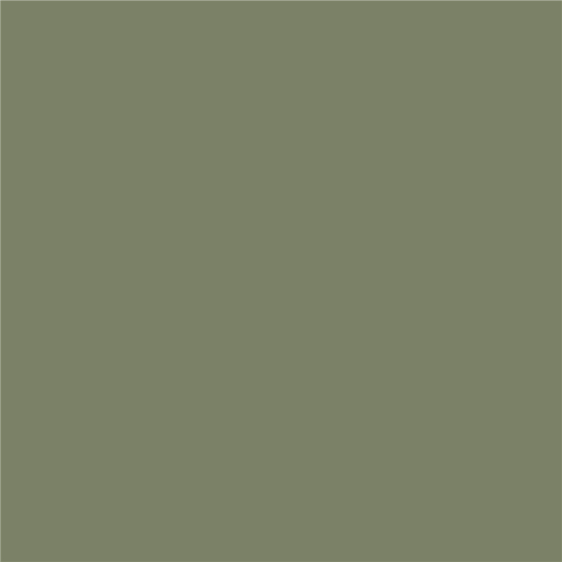 L1123 若草绿 Grass Green
