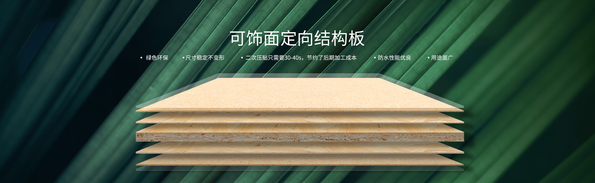 盈之仁零境界